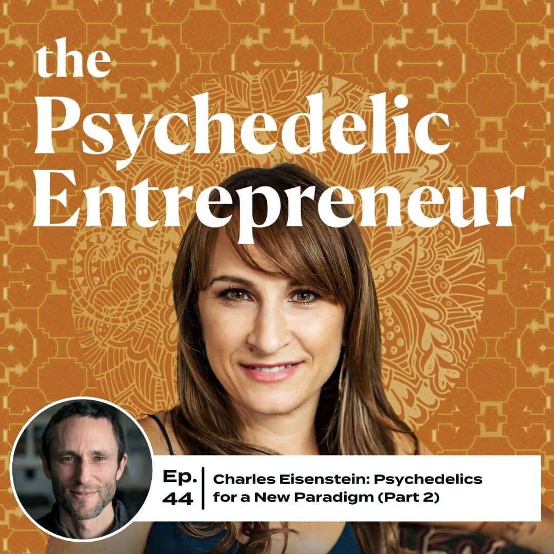 Charles Eisenstein: Psychedelics for a New Paradigm (Part 2)